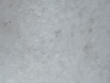 Fotogalerie Kuchyňská pracovní deska 38 mm hloubky 60cm / délky 200 cm - Samara Sand- ohraněná