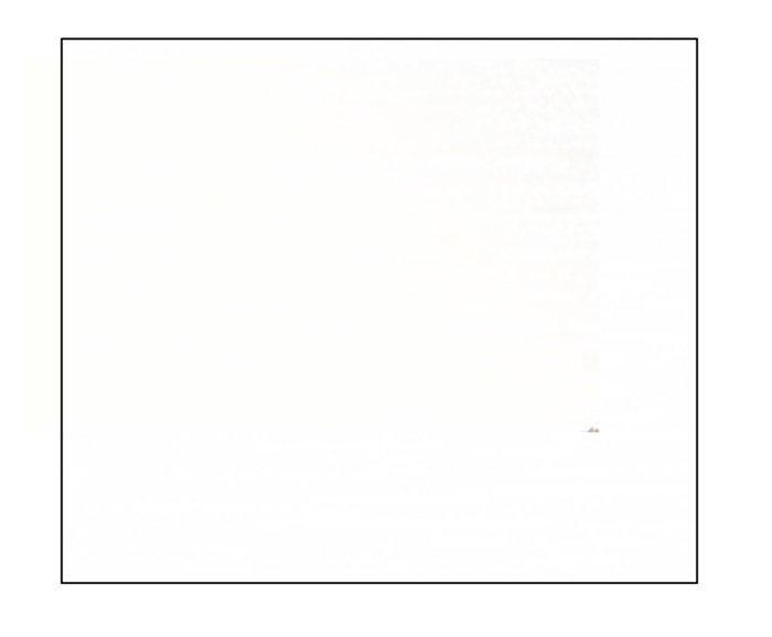 Fotogalerie Nástěnný panel - dekor bílá alpská - v rozměru 212 x 50 cm