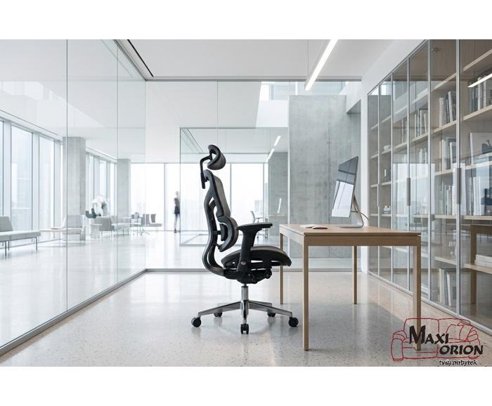 Fotogalerie Ergonomická kancelářská židle EQ-1, černá (nosnost 150 kg)