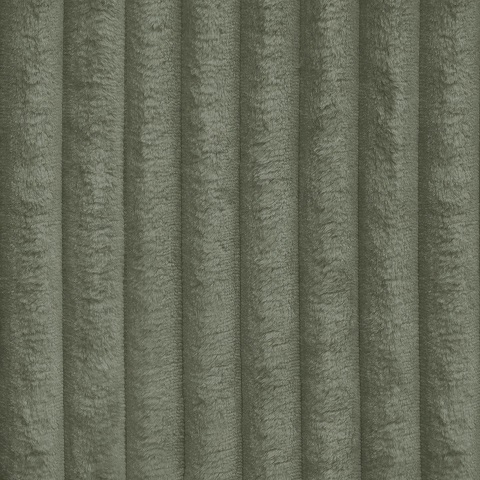  Tilia 37