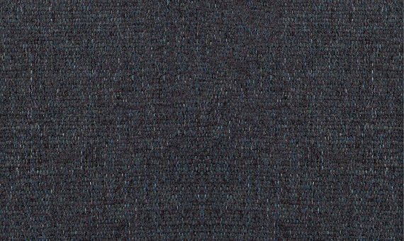  Icon 79
